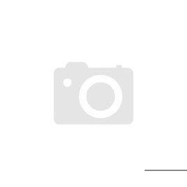 Haswing Protruar 2.0 Elektrischer Bootsmotor