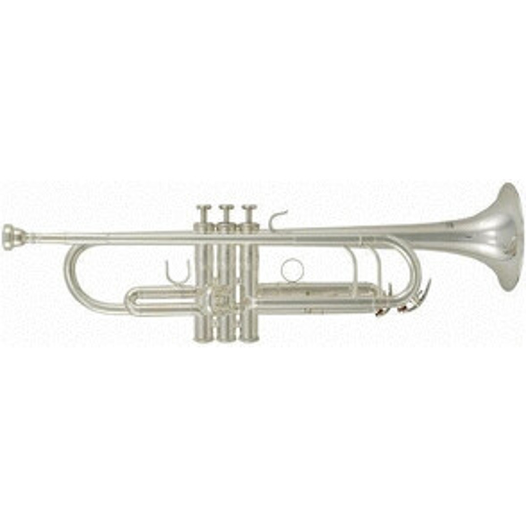 Roy Benson TR 402S Bb Trompete