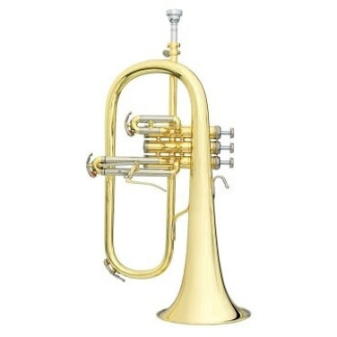 B&S Challenger 3145-L Horninstrument