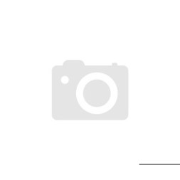 Rhino DX 55 Bootsmotor - Modell 9927155